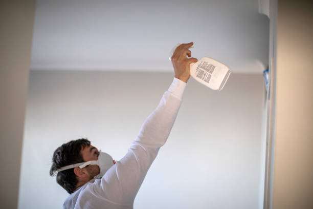 Best Industrial Mold Remediation in Crocker, WA